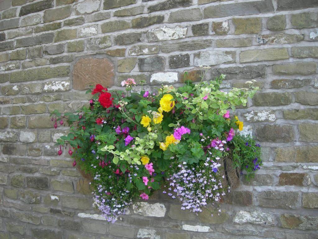 Common Barn Farm B & B Macclesfield Exteriör bild